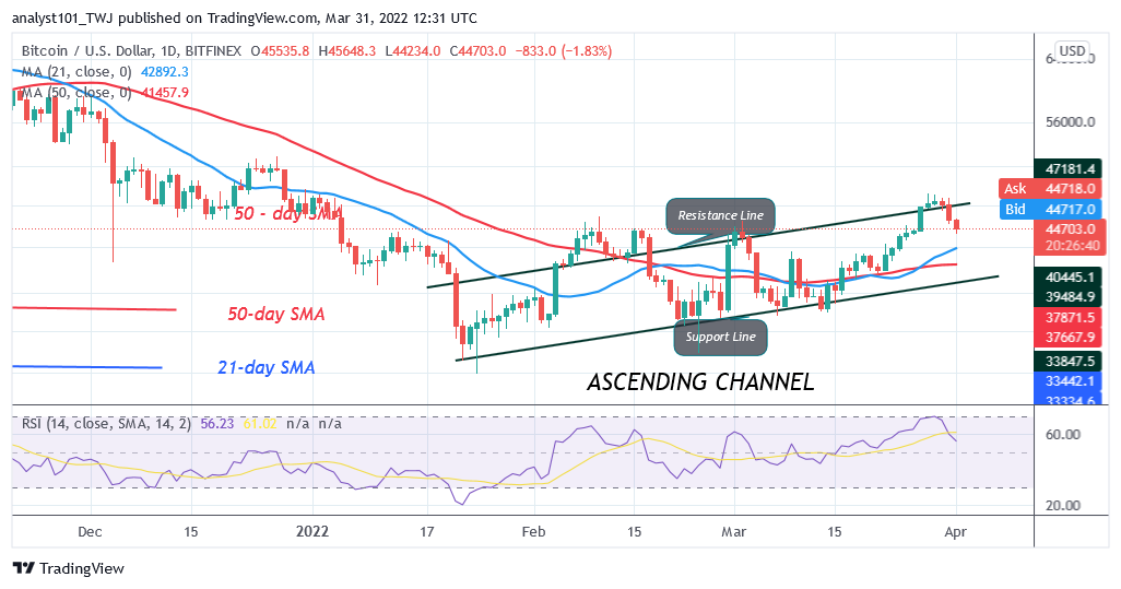 Bitcoin (BTC) Price Prediction: BTC/USD Fluctuates Between $45K and $48K as Bitcoin Holds Above $45K PlatoBlockchain Data Intelligence. Vertical Search. Ai.