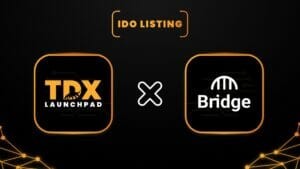 Bridge Network กำลังเปิดตัว IDO บน TDX Launchpad PlatoBlockchain Data Intelligence ค้นหาแนวตั้ง AI.
