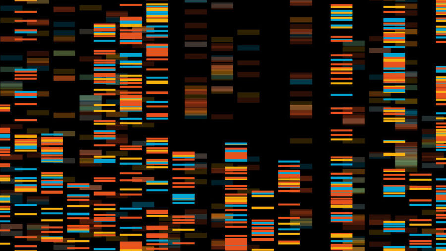 Il più grande studio genetico fino ad oggi svela i profili del DNA che portano al cancro PlatoBlockchain Data Intelligence. Ricerca verticale. Ai.