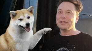 Musk bringer Doge til Ukraine PlatoBlockchain Data Intelligence. Lodret søgning. Ai.