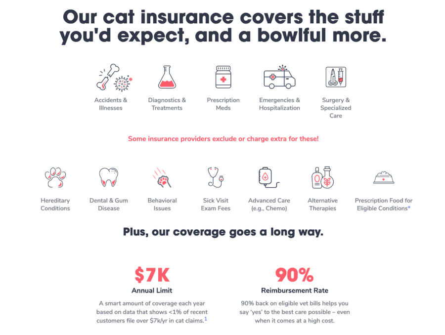 zavarovanje mačk