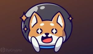Shiba Inu Shaking Off ‘Meme Coin’ Tag With Its Metaverse, But DOGE Creator Cites No Utility For SHIB PlatoBlockchain Data Intelligence. Vertical Search. Ai.