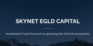 Skynet Trading Launched New Fund To Support Elrond’s DeFi Push Digital Capital PlatoBlockchain Data Intelligence. Vertical Search. Ai.