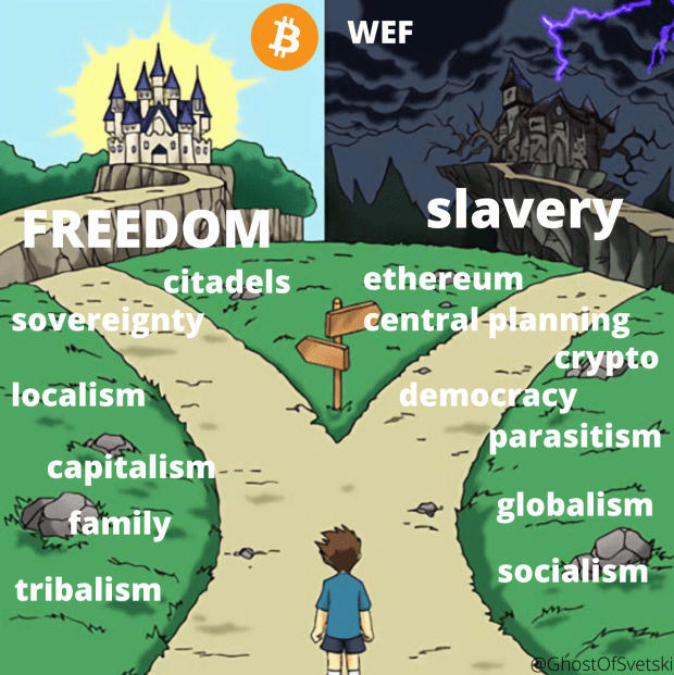 Slave Coin Or Freedom Coin: Which Way Western Man? PlatoBlockchain Data Intelligence. Vertical Search. Ai.