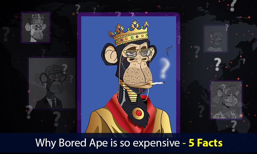 Why-Bored-Ape-is-so-expensive---5-Facts.