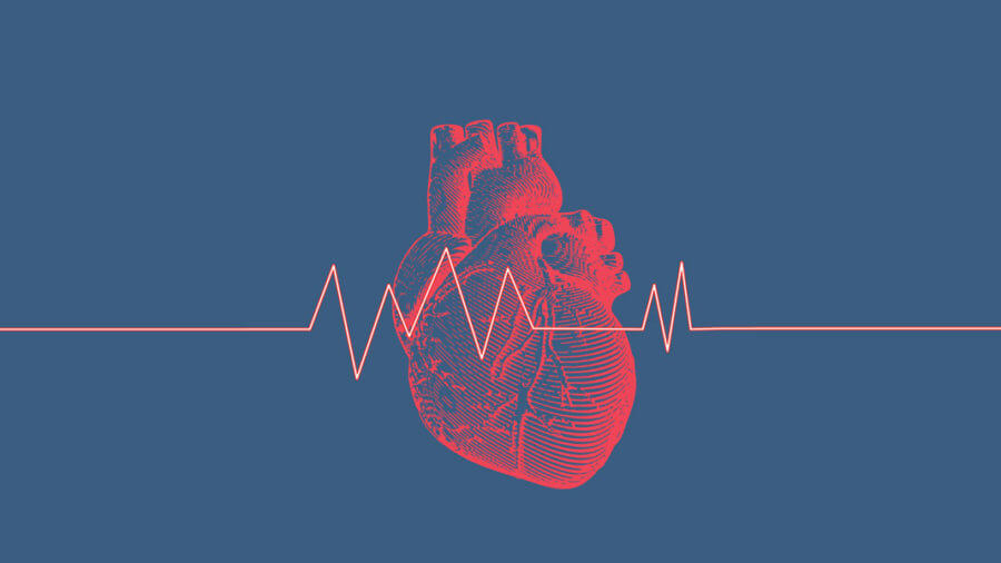 Liệu pháp gen CRISPR làm một lần sẽ nhằm mục đích ngăn chặn các cơn đau tim Thông minh dữ liệu PlatoBlockchain. Tìm kiếm dọc. Ái.
