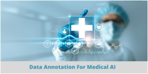 How are Data Annotators Behind The Rapid Growth of Medical AI? PlatoBlockchain Data Intelligence. Vertical Search. Ai.