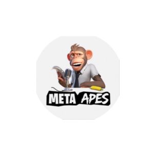 Meta Apes запускає на BNB Application Sidechain, щоб дати геймерам найкраще від Web 2.0 і Web 3.0 Gaming PlatoBlockchain Data Intelligence. Вертикальний пошук. Ai.