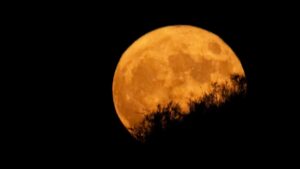 Moon Settlers: Oamenii de știință spun că plantele vor crește cel mai bine în „solul” lunar din cratere de impact proaspete PlatoBlockchain Data Intelligence. Căutare verticală. Ai.