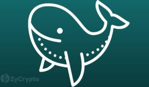 Біткойн-кити епохи Сатоші повертаються до життя, коли BTC вступає у важку фазу накопичення PlatoBlockchain Data Intelligence. Вертикальний пошук. Ai.