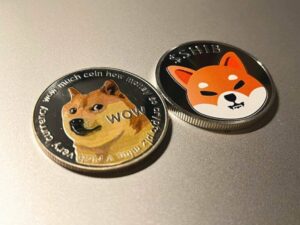 Who is more popular: Shiba Inu or Dogecoin? PlatoBlockchain Data Intelligence. Vertical Search. Ai.