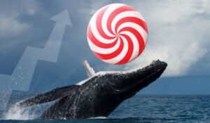 CANDYDEX-øyeeksplosjon ettersom hvaler nå har over 23 % av CANDYDEX-tokens PlatoBlockchain-dataintelligens. Vertikalt søk. Ai.