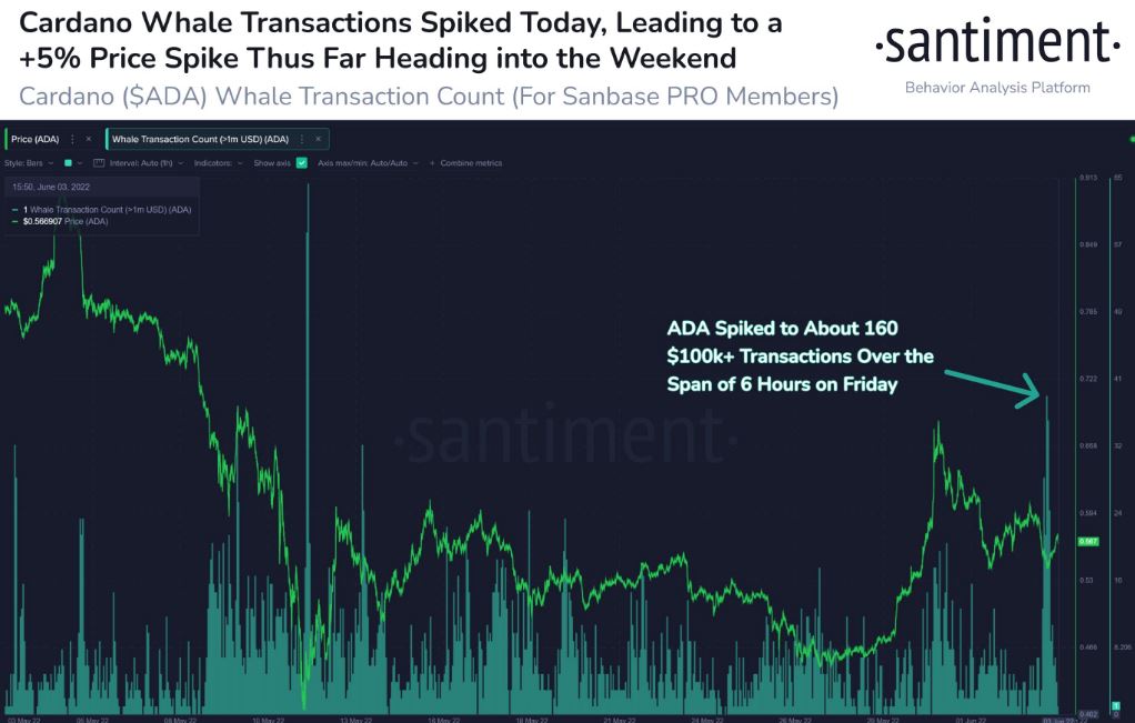 Tranzacțiile Cardano Whale semnalează $ADA în sus, deoarece activitatea în lanț atinge niveluri extrem de optimiste PlatoBlockchain Data Intelligence. Căutare verticală. Ai.