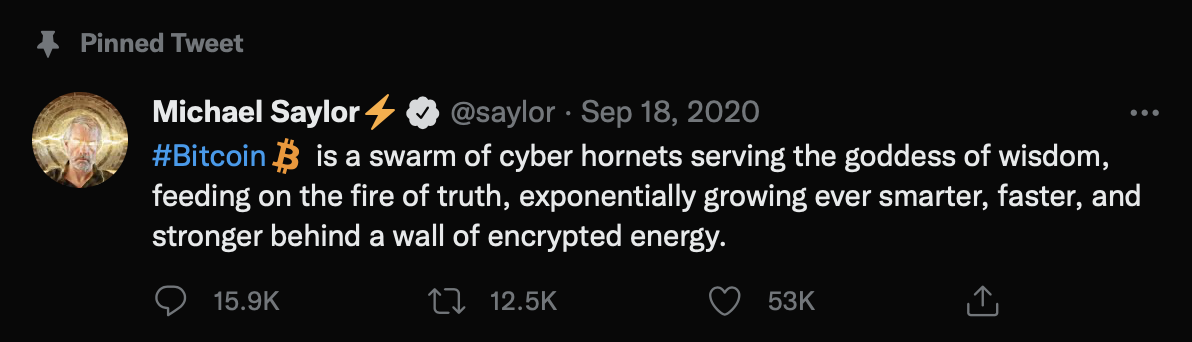 Margin Call - @saylor pinned tweet: #Bitcoin is a swarm of cyber hornets [...] Does this seem like a rational basis for a capital allocation strategy? 