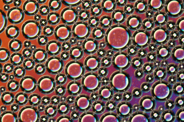 Lichtmikroskopische Aufnahme von Rasierschaum aus Glas-Shaving_foam,_light_micrograph
