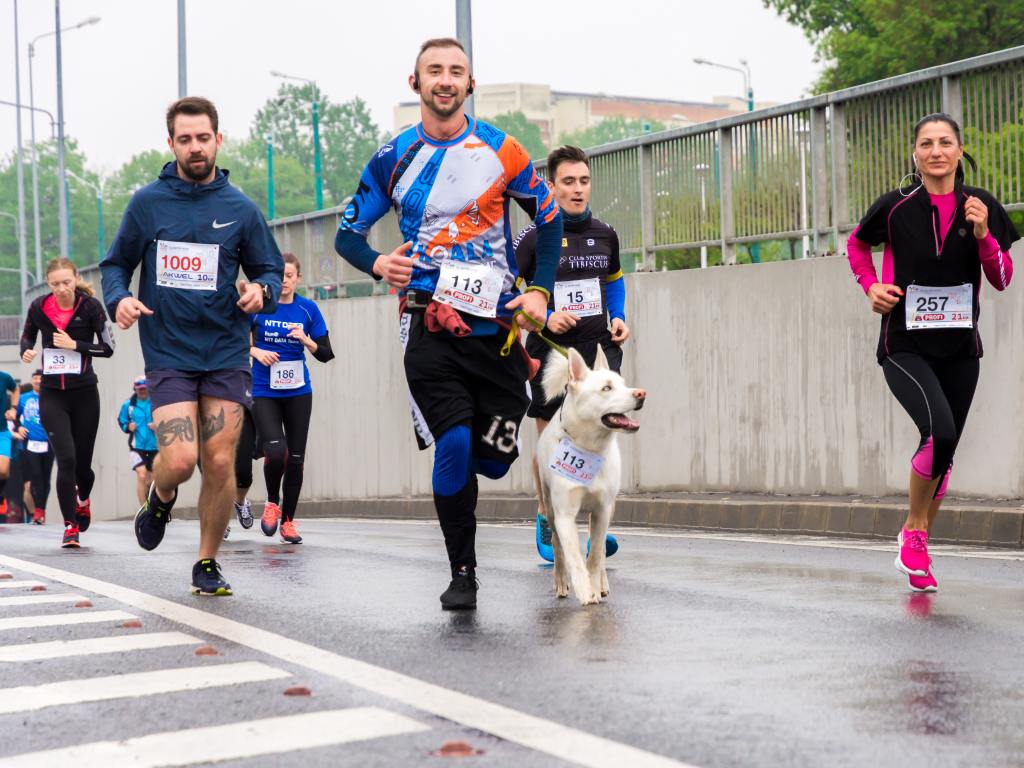 कुत्ते के साथ दौड़ते लोगों का समूह. व्यक्तियों के लिए धन जुटाने के विचार