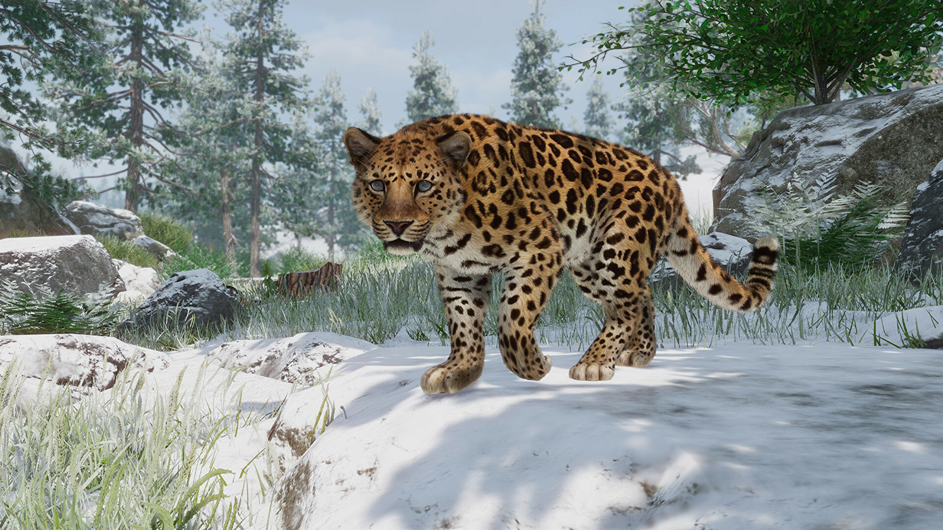 Planet Zoo adds five endangered animals in new conservation-themed DLC Eurogamer PlatoBlockchain Data Intelligence. Vertical Search. Ai.