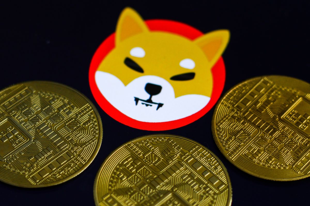 Shiba Inu Finally Resurfaces with The Help of Coins.ph PlatoBlockchain Data Intelligence. Vertical Search. Ai.