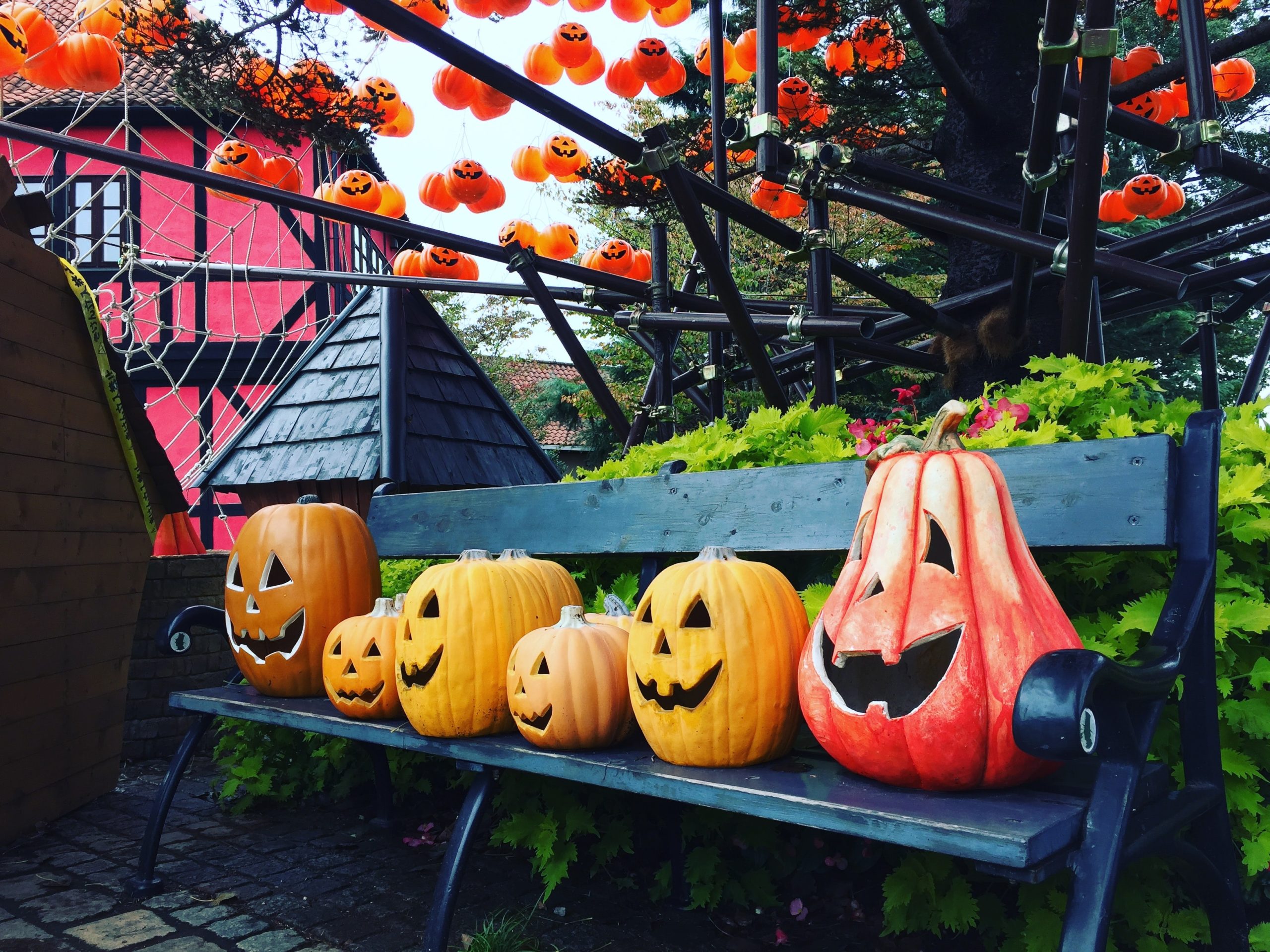 Sechs Kürbisse in allen verschiedenen Größen für Halloween geschnitzt. Eine Fundraising-Idee zum Thema Herbst