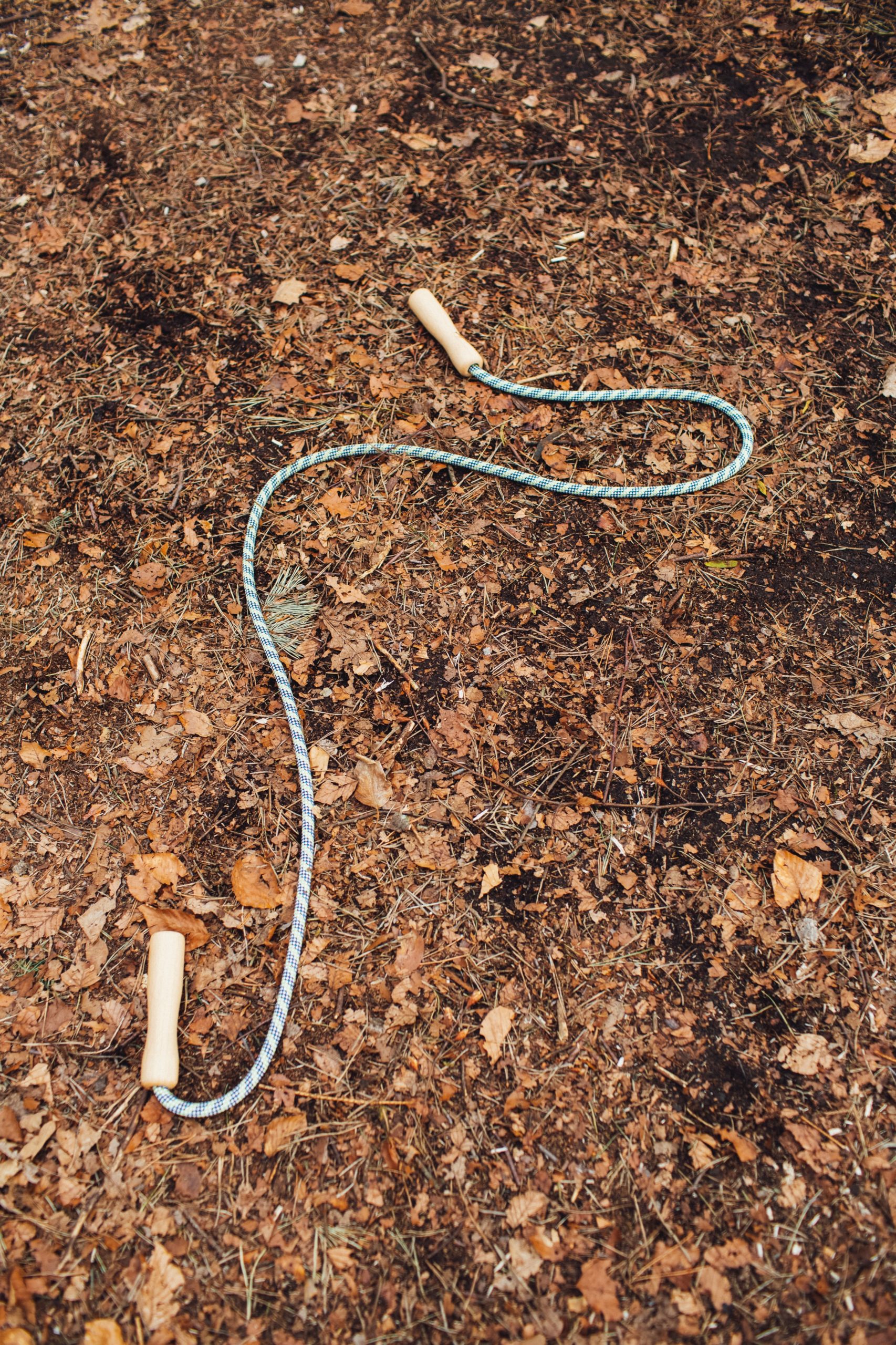 white and blue rope on brow soil