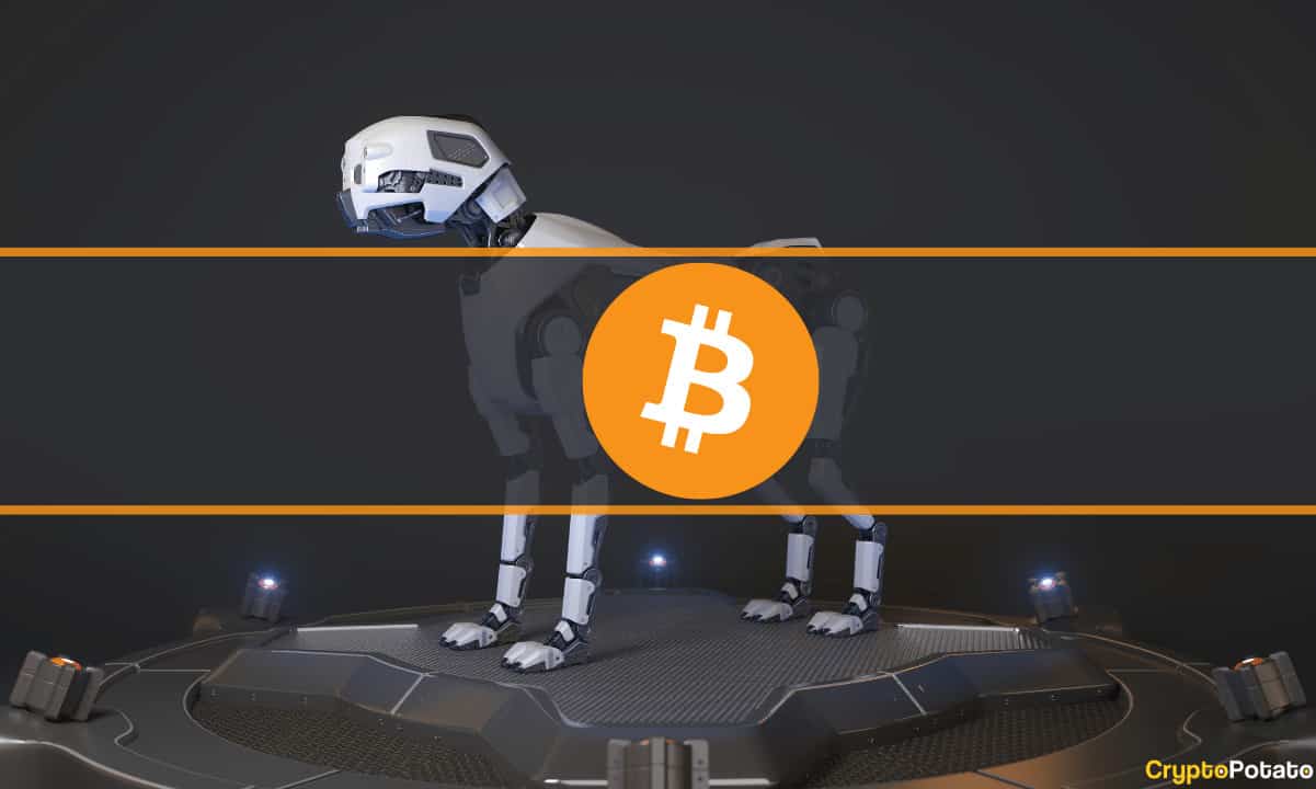 This Desperate Man Plans Build Robot Dogs to Find a Hard Drive With $169M Worth of BTC (Report) PlatoBlockchain Data Intelligence. Vertical Search. Ai.