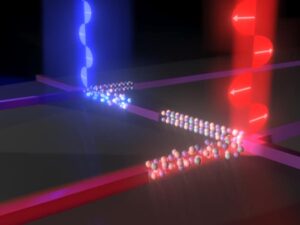 Polarisationsswitch gør ultrahurtig fotonisk computer PlatoBlockchain Data Intelligence. Lodret søgning. Ai.