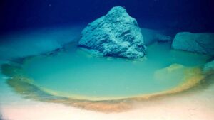 Harvinaisia ​​syvänmeren suolavesialtaita löydetty Red Sea PlatoBlockchain Data Intelligencesta. Pystysuuntainen haku. Ai.