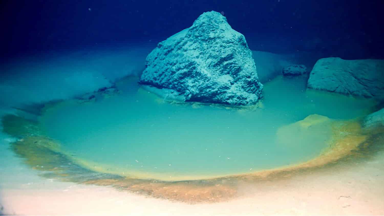Red Sea PlatoBlockchain Data Intelligence で発見された珍しい深海塩水プール。 垂直検索。 あい。