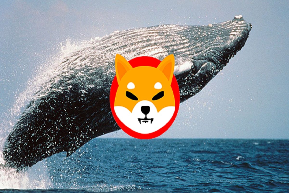 Just In: This Token Beats Shiba Inu To Become Biggest ETH Whale Holding PlatoBlockchain Data Intelligence. Vertical Search. Ai.