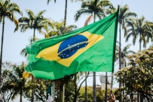 غول خرده‌فروشی برزیل با حمله اخاذی به اطلاعات پلاتو بلاک چین ضربه خورد. جستجوی عمودی Ai.