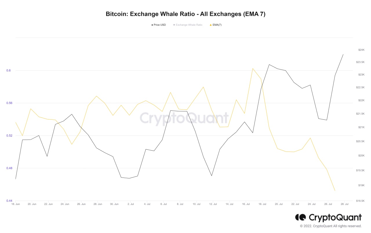 Bitcoin kaotab 24 XNUMX dollarit, kuna Exchange Whale Ratio väheneb PlatoBlockchaini andmete intelligentsus. Vertikaalne otsing. Ai.