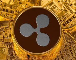 Over 356 Million Ripple (XRP) Transferred Between Two Exchanges And Unknown Wallets PlatoAiStream Data Intelligence. Vertical Search. Ai.