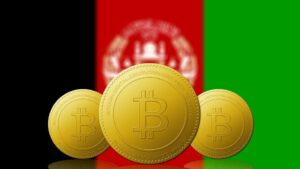 阿富汗警方停止了 16 家加密货币交易所 PlatoBlockchain Data Intelligence。 垂直搜索。 哎。