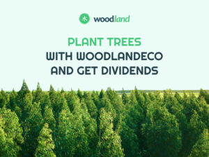 WoodLandEco beetaversioon keskkonnasõbralike algatuste CoinQuora PlatoBlockchain andmeluure edendamiseks. Vertikaalne otsing. Ai.