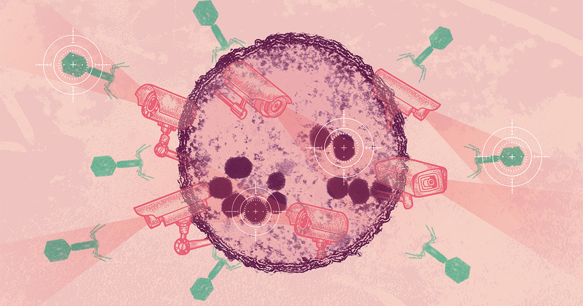 بیکٹیریا کے مدافعتی سینسر نے وائرس کا پتہ لگانے کا ایک نیا طریقہ ظاہر کیا ہے پلیٹو بلاکچین ڈیٹا انٹیلی جنس۔ عمودی تلاش۔ عی