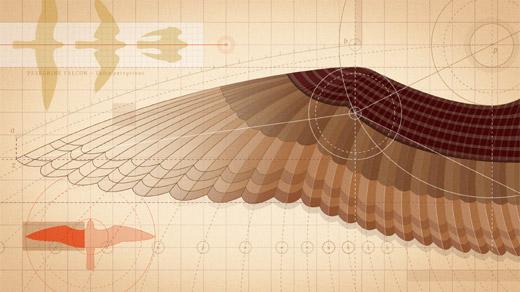 Geometrik Analiz, Kuşların Uçuşta Nasıl Ustalaştığını Ortaya Çıkarıyor PlatoBlockchain Veri Zekası. Dikey Arama. Ai.