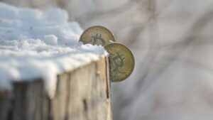 Bitcoin s-a prăbușit cu 68% de la vârf – totuși un taur spune că cea mai nouă iarnă criptografică este o „iarnă călduroasă” PlatoBlockchain Data Intelligence. Căutare verticală. Ai.