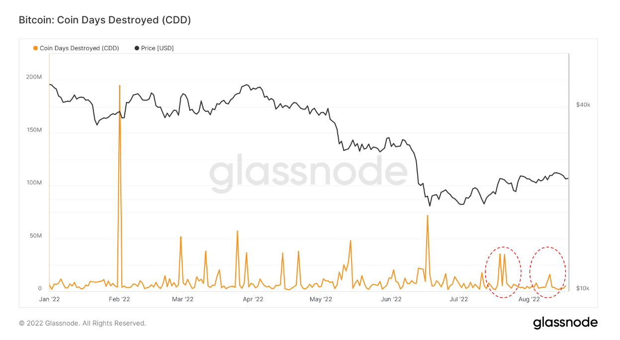 Cercetare: Această măsurătoare arată cine a vândut Bitcoin în recentul miting de ajutor al pieței ursului PlatoBlockchain Data Intelligence. Căutare verticală. Ai.