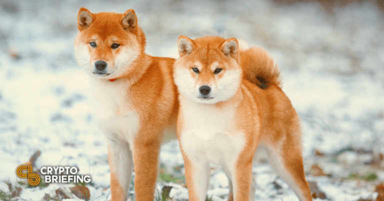 Dogecoin і Shiba Inu готуються вивести PlatoBlockchain Data Intelligence. Вертикальний пошук. Ai.