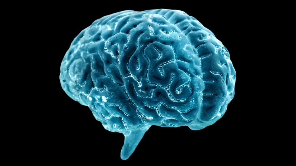 いいえ、人間の脳は 3,000 年前に収縮しませんでした。PlatoBlockchain Data Intelligence を研究してください。 垂直検索。 あい。