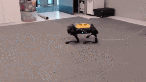 این سگ ربات دارای مغز هوش مصنوعی است و به خود آموخته است که فقط در یک ساعت راه رفتن را با هوش داده پلاتو بلاک چین انجام دهد. جستجوی عمودی Ai.