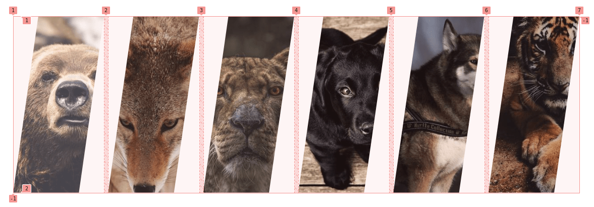 Una griglia a sei pannelli di immagini inclinate di vari animali selvatici che mostrano le linee della griglia e gli spazi vuoti.