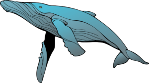 Weken voor de fusie heeft Whale Address uit het Ethereum ICO-tijdperk PlatoBlockchain-gegevensinformatie opnieuw geactiveerd. Verticaal zoeken. Ai.