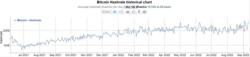معدل تجزئة Bitcoin Skyrockets في ارتفاع بنسبة 55٪ خلال شهرين من ذكاء بيانات PlatoBlockchain. البحث العمودي. عاي.