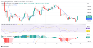 Bitcoin Price Analysis for 9th of September: BTC/USD Smashes Through $20,000 Resistance Level PlatoAiStream Data Intelligence. Vertical Search. Ai.