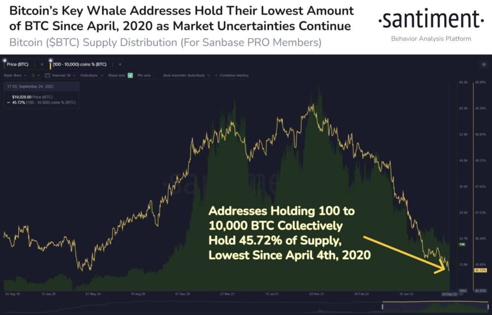 Bitcoin (BTC) Whale Address Holdings 29 kuukauden matalalla PlatoBlockchain-tietotiedolla. Pystysuuntainen haku. Ai.