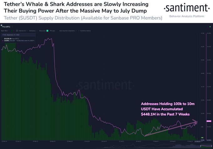 Công ty phân tích tiền điện tử cho biết cá voi XRP đang ở chế độ tích lũy khổng lồ khi loại tiền thay thế hàng đầu vượt trội hơn Bitcoin PlatoBlockchain dữ liệu thông minh. Tìm kiếm dọc. Ái.
