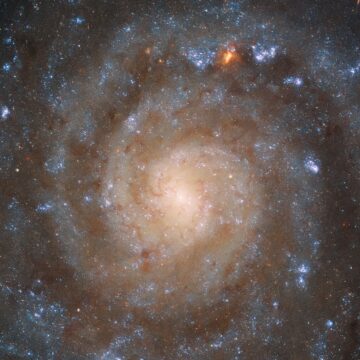 WEBB’S MIRI ساختار پیچیده کهکشان را به تصویر کشیده است. جستجوی عمودی Ai.