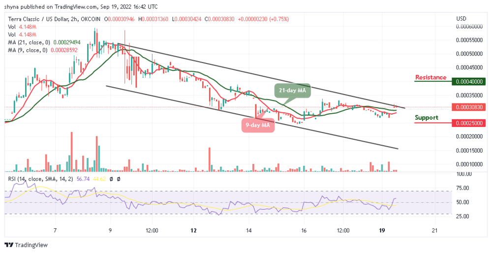 LUNC Price May Swing Above $0.00035 Resistance, Buy TAMA and Hold LUNCUSD PlatoBlockchain Data Intelligence. Vertical Search. Ai.