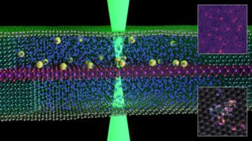 Single atoms swim inside a graphene sandwich PlatoBlockchain Data Intelligence. Vertical Search. Ai.